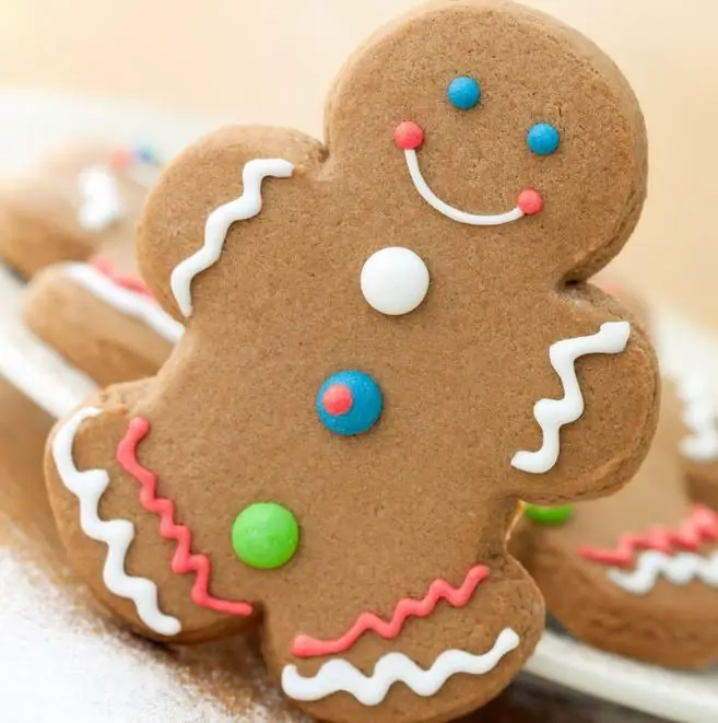 Gingerbread dough recipe. Gingerbread house dough recipe