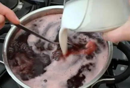 Hoe gelei te koken van zetmeel en compote: recepten en tips