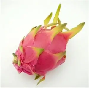 pitahaya fruit