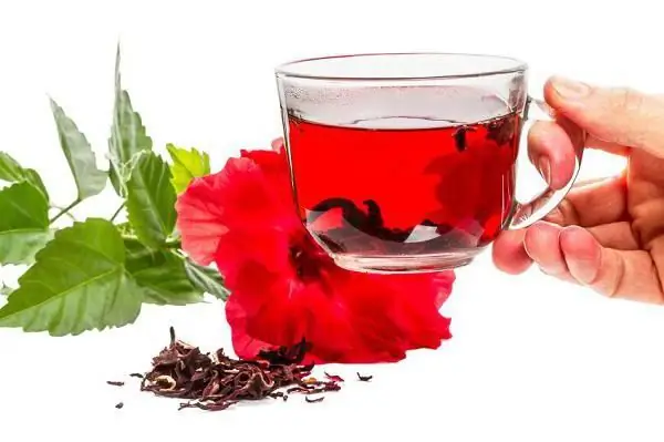 Korisna svojstva čaja od hibiskusa i kontraindikacije. Kako skuhati i kako ga piti?