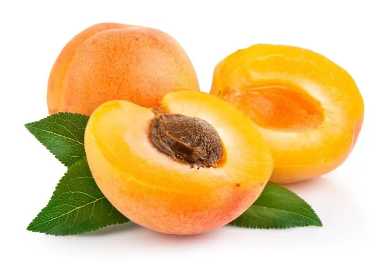 Dried apricots - benefits and harms to the he alth of the body, calorie content and features