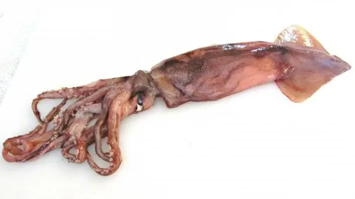 Squid: ako správne čistiť a variť?