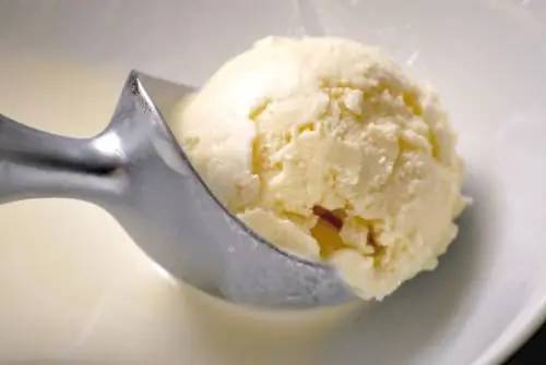 Recipe ng ice cream ayon sa GOST. Recipe para sa homemade ice cream