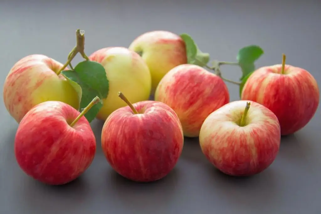 Appels voor pancreatitis: dieet voor pancreatine, het effect van appels op het maagdarmkanaal, goede voeding, toegestaan en verboden voedsel, verplicht medisch toezicht