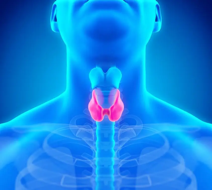 Thyroid diseases: diet, allowed and prohibited foods, recipes