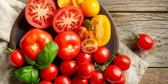 Por que você quer tomates? Propriedades do produto e seus benefícios para o corpo