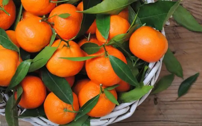 Naringi tərkibindəki vitaminlər: siyahı, faydalı xüsusiyyətlər, qida dəyəri və əks göstərişlər