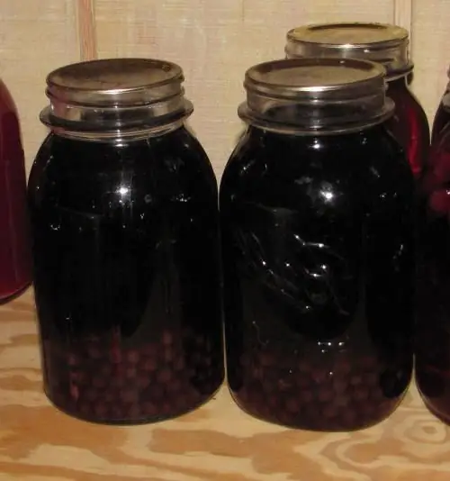 Délicieuse compote de raisins pour l'hiver sans stérilisation. Compote de raisins pour l'hiver: une recette simple